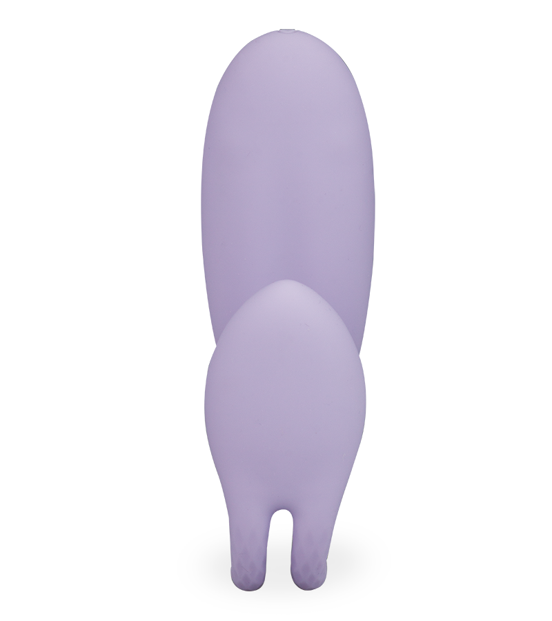 Sharing remote-controlled couples' vibrator
