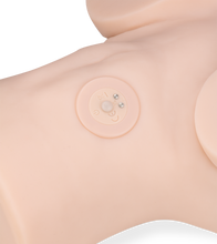 Load image into Gallery viewer, Shelley sucking and vibrating masturbator 3.25 lb