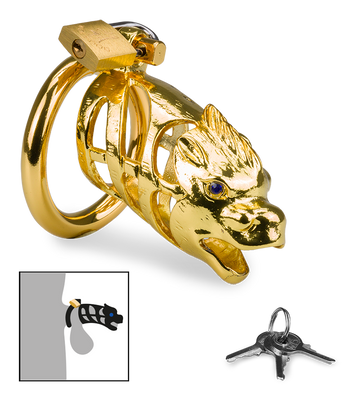 Golden Dragon Chinese zodiac penis chastity cage