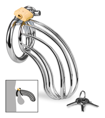 Sentence penis chastity cage